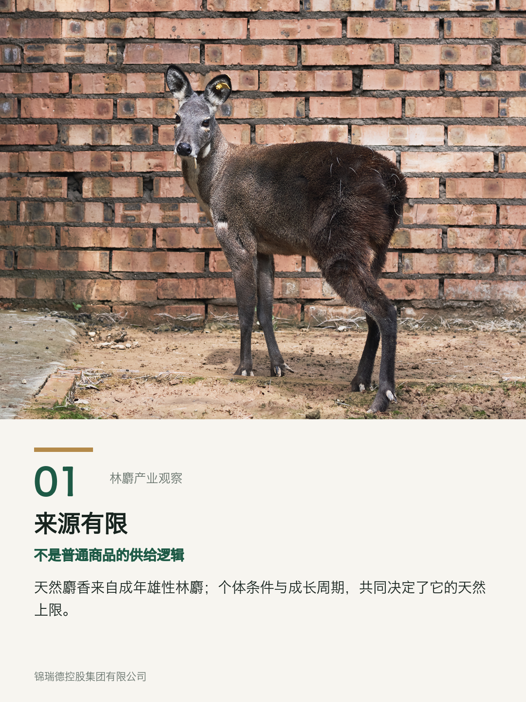01-来源有限.png 01-来源有限.png