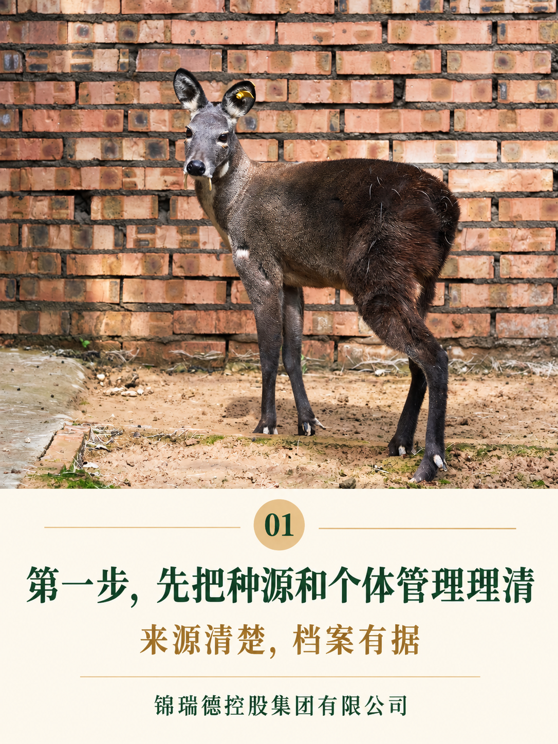 01-种源管理.png 01-种源管理.png
