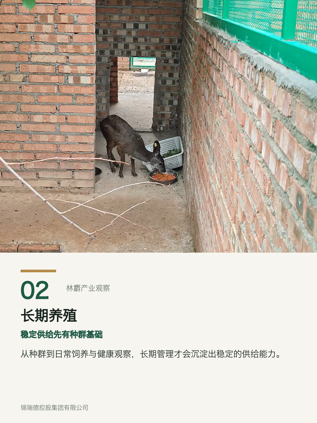 02-长期养殖.png 02-长期养殖.png