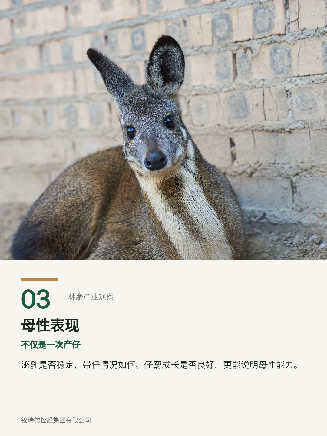 03-母性表现.png 03-母性表现.png