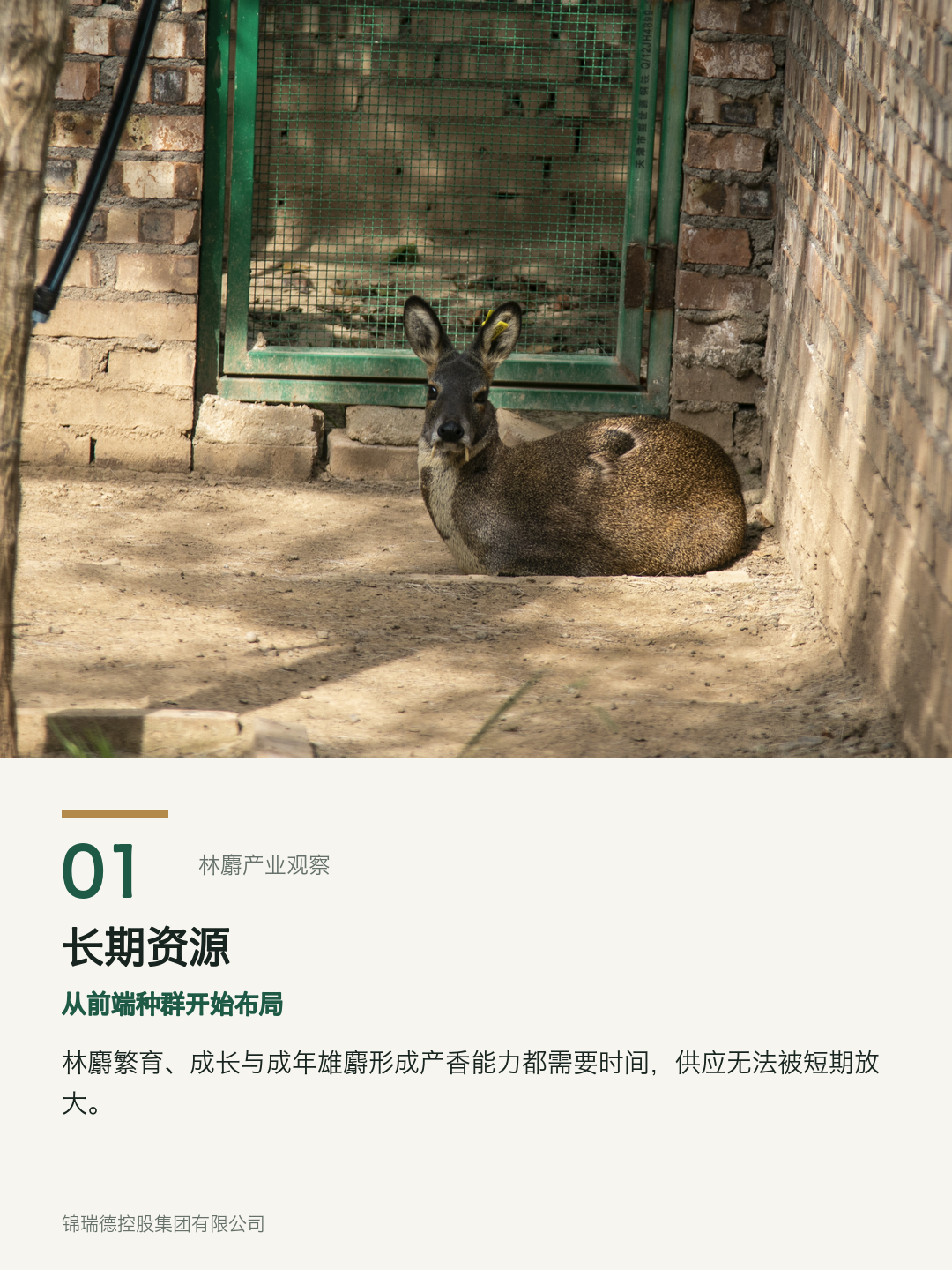 01-长期资源.png 01-长期资源.png