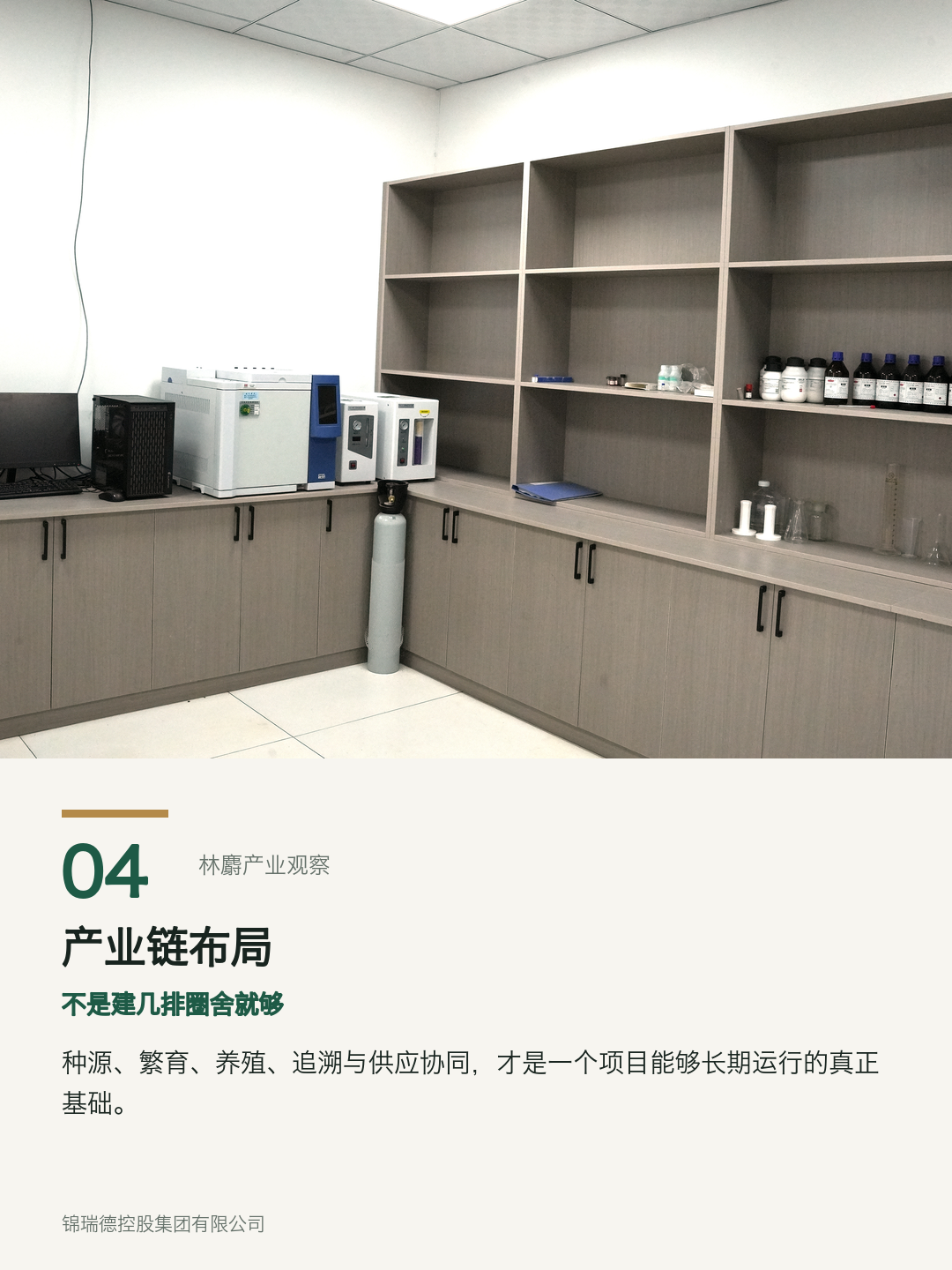 04-产业链布局.png 04-产业链布局.png