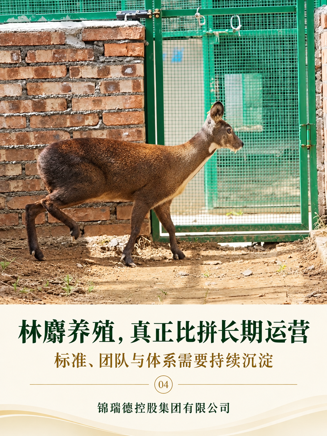 04-长期运营.png 04-长期运营.png