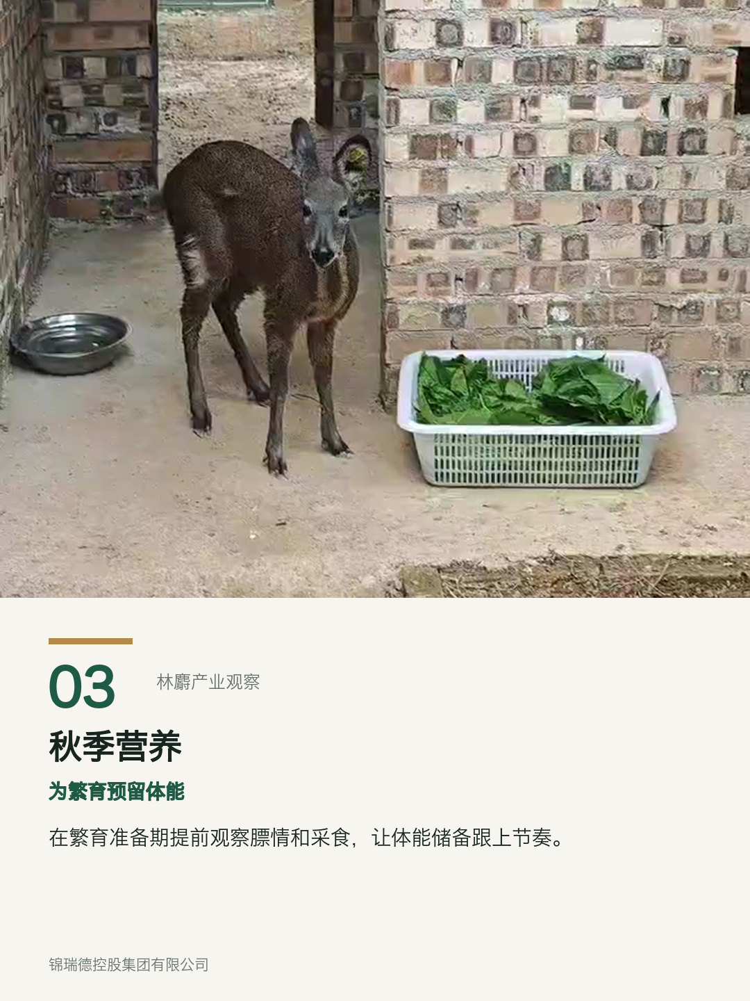 03-秋季营养.png 03-秋季营养.png